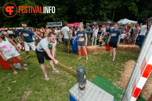 Sfeerfoto Werfpop 2014
