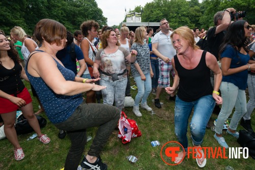 Sfeerfoto Werfpop 2014