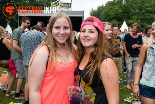 Sfeerfoto Werfpop 2014