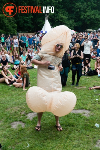 Sfeerfoto Werfpop 2014