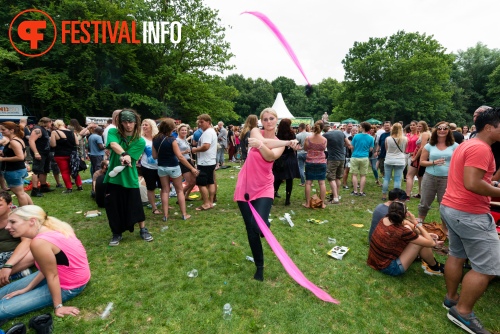Sfeerfoto Werfpop 2014
