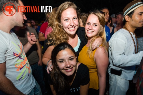 Sfeerfoto Werfpop 2014