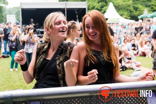 Sfeerfoto Werfpop 2014