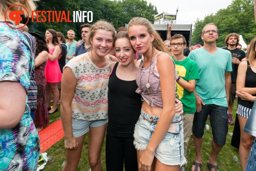 Sfeerfoto Werfpop 2014