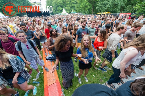 Sfeerfoto Werfpop 2014