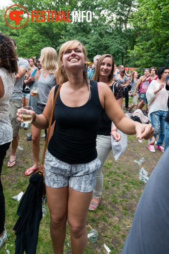 Sfeerfoto Werfpop 2014