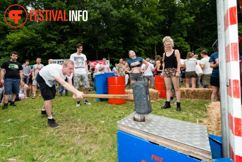 Sfeerfoto Werfpop 2014