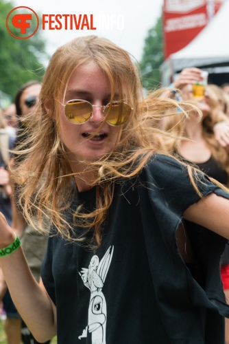 Sfeerfoto Werfpop 2014