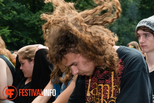 Sfeerfoto Werfpop 2014