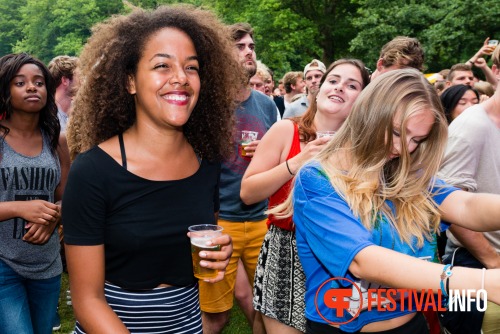 Sfeerfoto Werfpop 2014