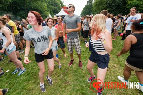 Sfeerfoto Werfpop 2014