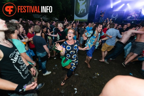 Sfeerfoto Werfpop 2014