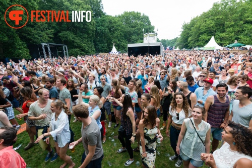 Sfeerfoto Werfpop 2014