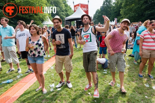 Sfeerfoto Werfpop 2014