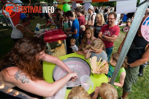 Sfeerfoto Werfpop 2014