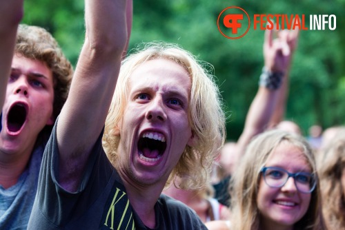 Sfeerfoto Werfpop 2014
