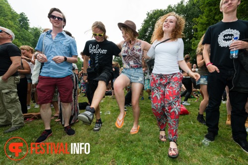 Sfeerfoto Werfpop 2014