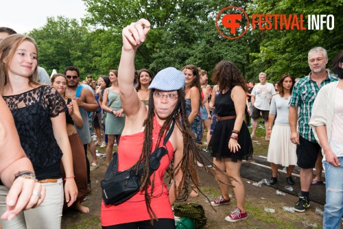 Sfeerfoto Werfpop 2014