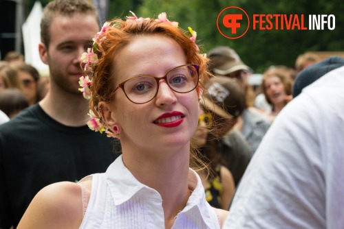 Sfeerfoto Werfpop 2014