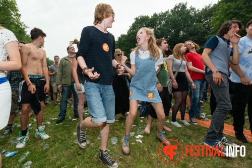 Sfeerfoto Werfpop 2014