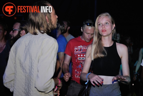 Sfeerfoto Welcome to the Village 2014