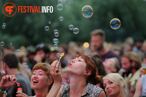 Sfeerfoto Welcome to the Village 2014