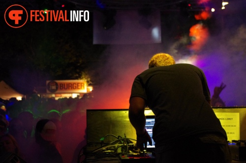 Sfeerfoto Sziget 2014