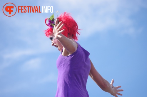 Sfeerfoto Sziget 2014