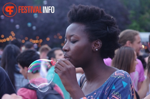 Sfeerfoto Sziget 2014