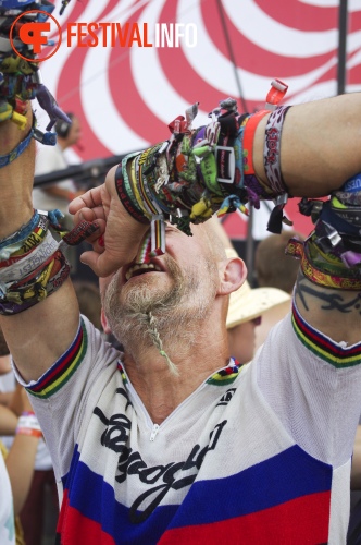 Sfeerfoto Sziget 2014
