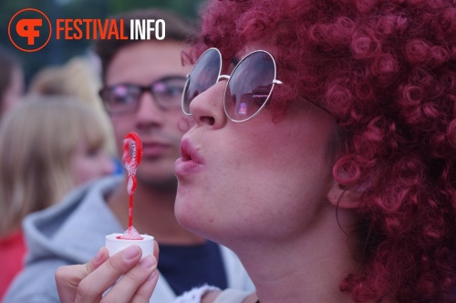 Sfeerfoto Sziget 2014