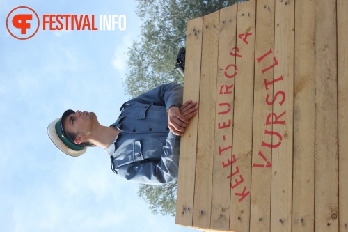 Sfeerfoto Sziget 2014
