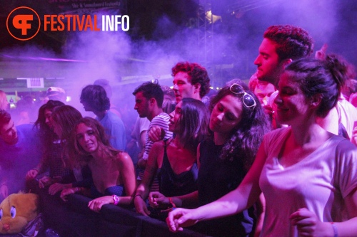 Sfeerfoto Sziget 2014