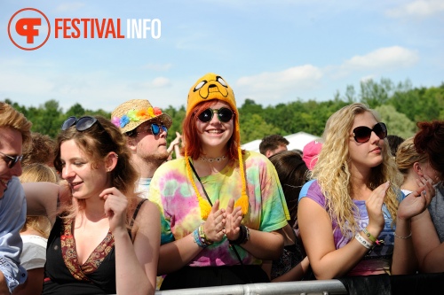 Sfeerfoto Pinkpop 2015