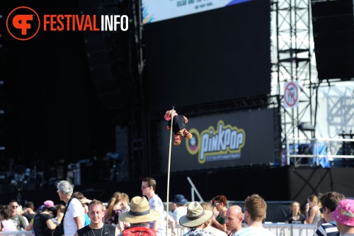 Sfeerfoto Pinkpop 2015