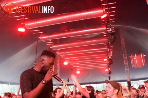 Sfeerfoto We Are Electric 2015