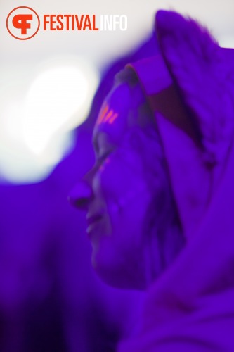 Sfeerfoto We Are Electric 2015