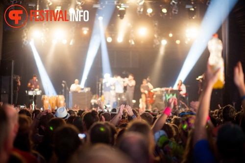 Sfeerfoto Down The Rabbit Hole 2015