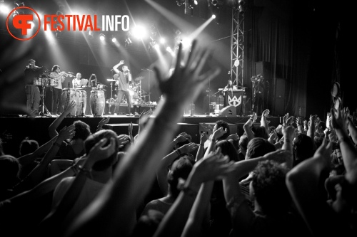 Sfeerfoto Down The Rabbit Hole 2015