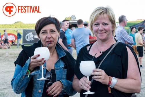 Sfeerfoto Rock Zottegem 2015