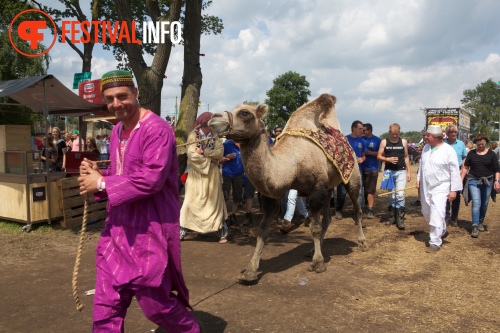 Sfeerfoto Zwarte Cross 2015