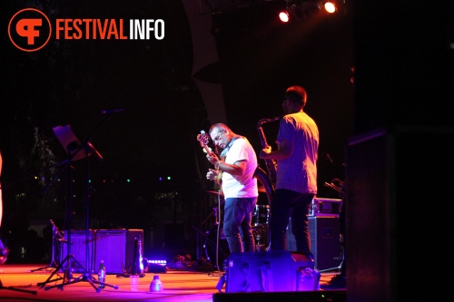Sfeerfoto Sziget 2015