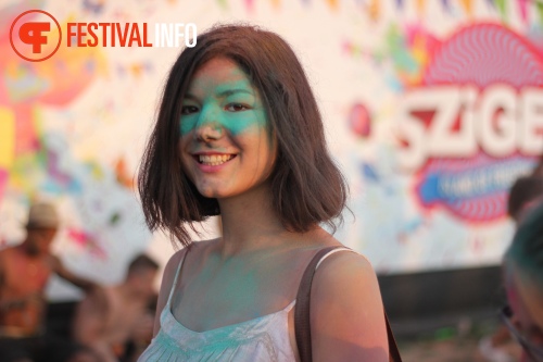 Sfeerfoto Sziget 2015