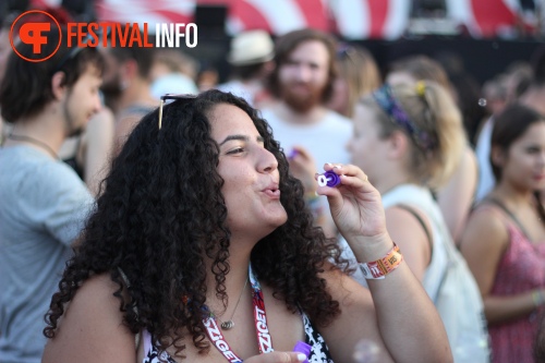 Sfeerfoto Sziget 2015