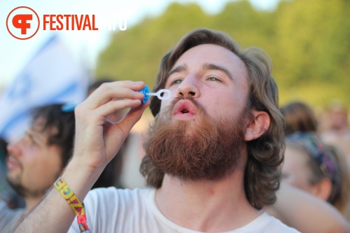 Sfeerfoto Sziget 2015