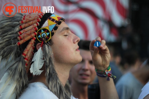 Sfeerfoto Sziget 2015