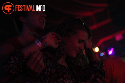 Sfeerfoto Sziget 2015