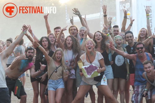 Sfeerfoto Sziget 2015