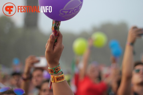 Sfeerfoto Sziget 2015