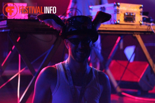 Sfeerfoto Sziget 2015